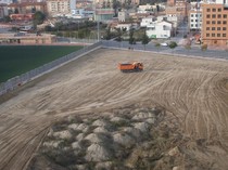 Limpieza de solares